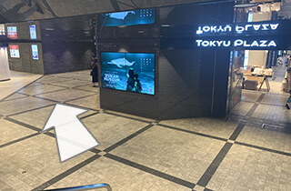 銀座駅からの道順3