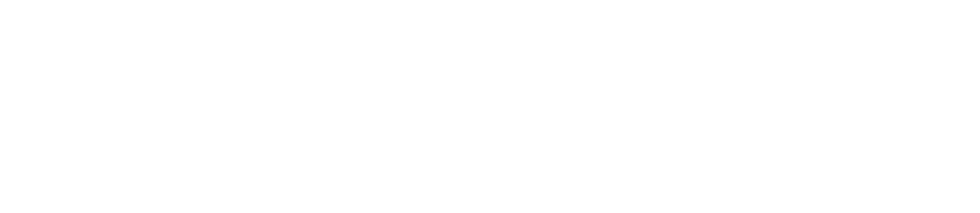 世界顶尖水平的植发技术让短时间内高密度大量植发成为可能一天可以植发10,000根不需手术，使用自己毛发实现先进的高密度•高成活率植发