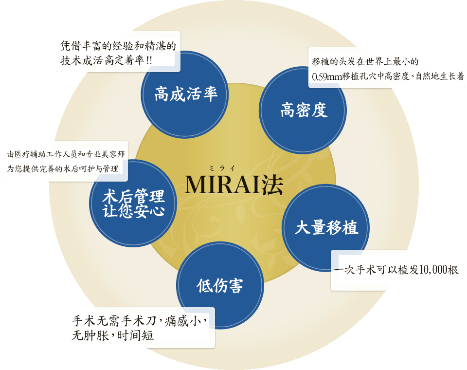 MIRAI法