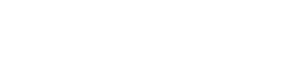 世界頂尖水平的植髮技術讓短時間內、高密度大量植髮成為可能、一天可以植髮10,000根、不需手術，使用自己毛髮實現先進的高密度•高成活率植髮