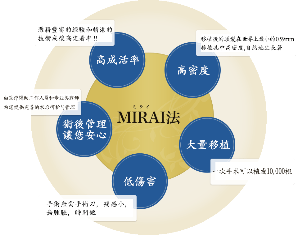 MIRAI法